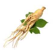 Ginseng