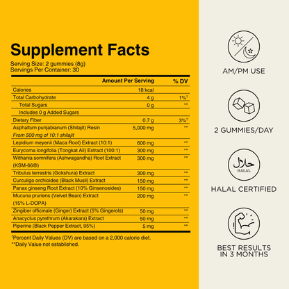 Himalayan Shilajit Gummies™