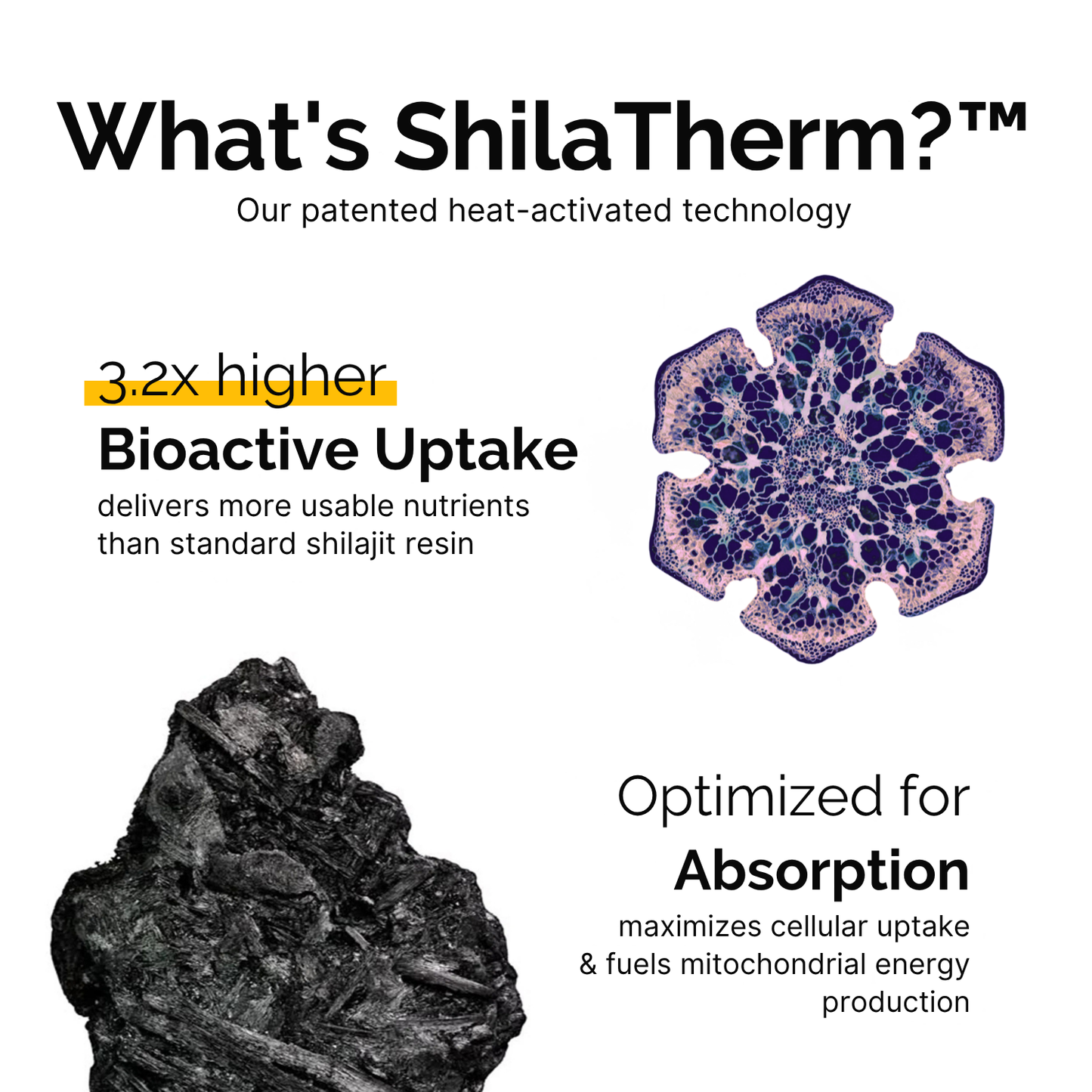 Himalayan Shilajit Gummies™