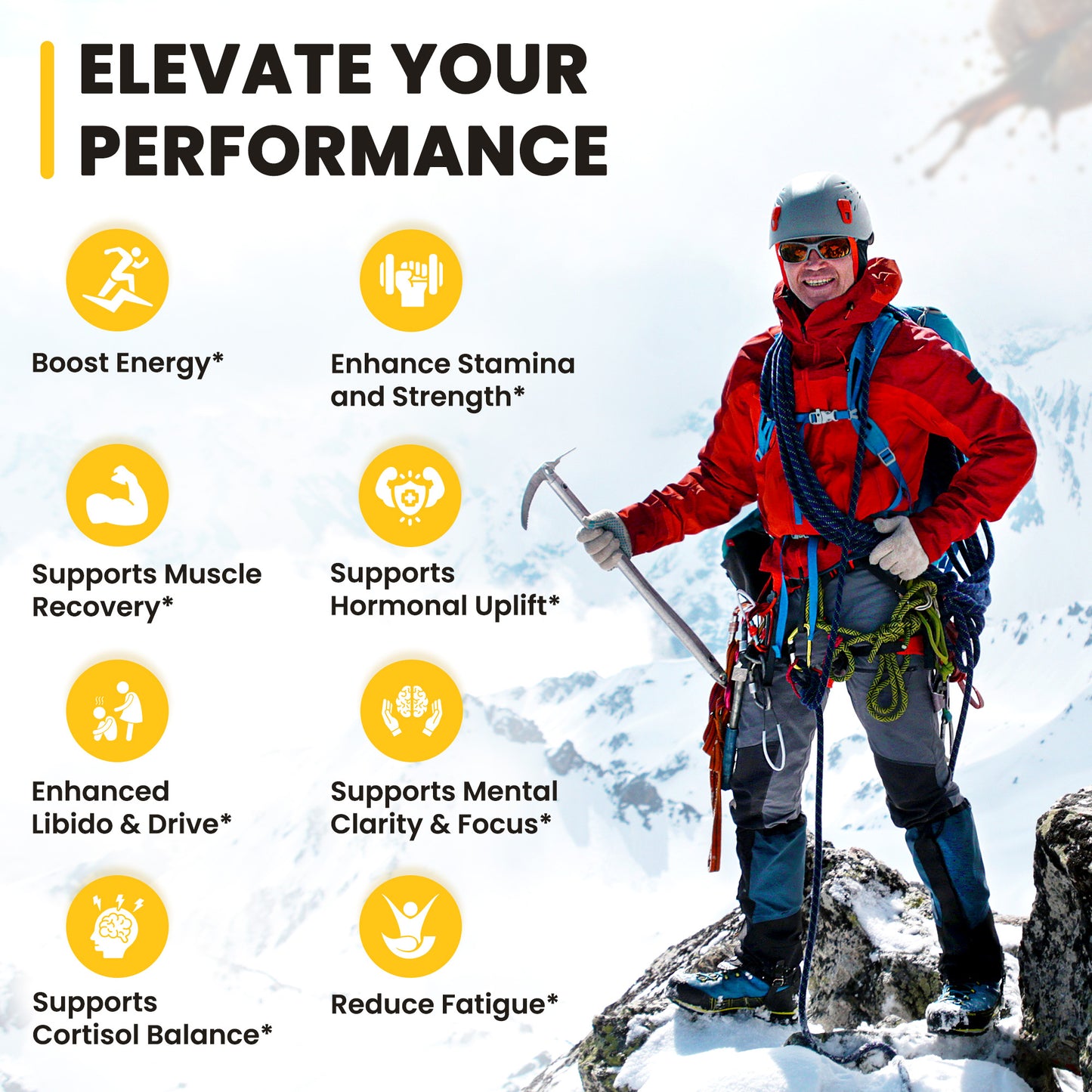 Himalayan Shilajit Gummies™